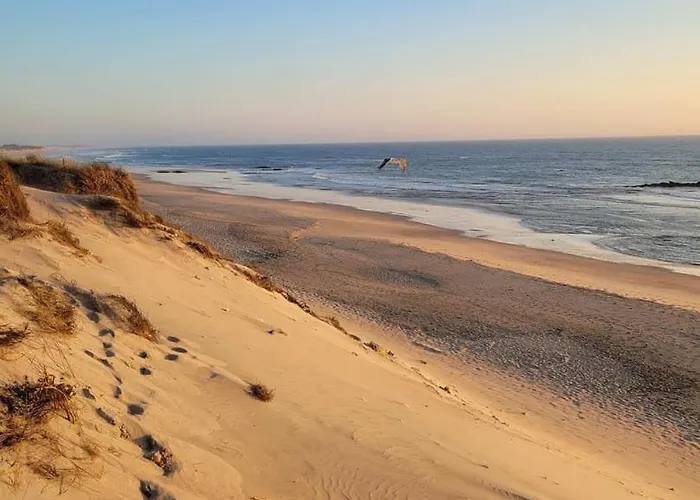 Апартаменты Guestready - Seaside Oasis In Private